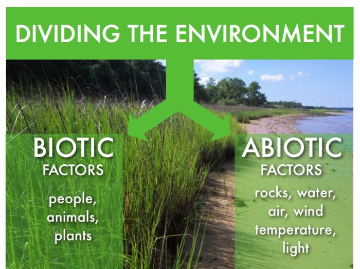 Estuaries biotic abiotic