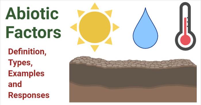 Abiotic factors in an estuary