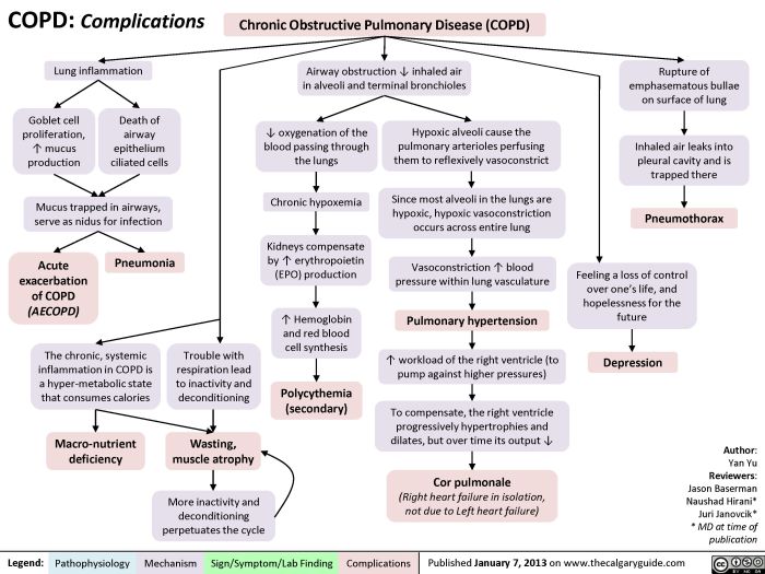 Map copd concept nursing pulmonary chronic obstructive disease medicine scribd