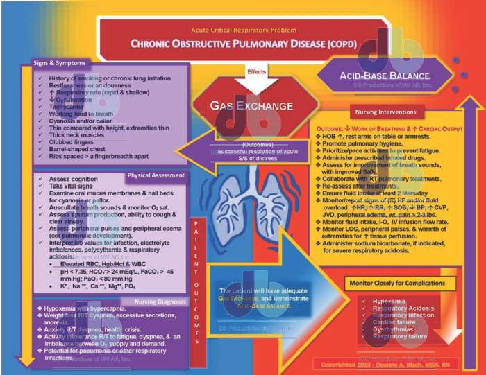 Nursing concept map for copd