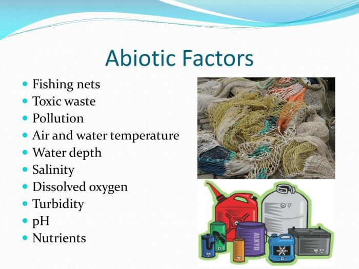 Abiotic factors in an estuary