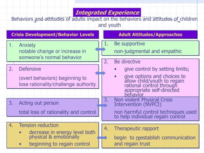 Cpi crisis development model test answers