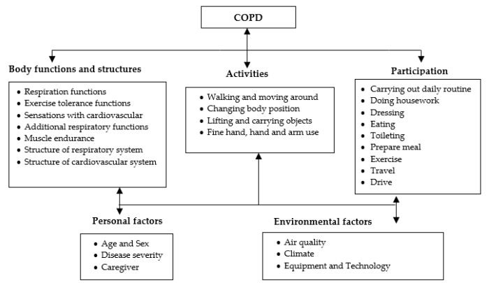 Nursing concept map for copd