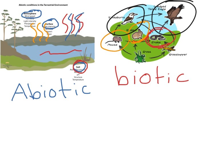 Factors biotic estuaries abiotic presentation such