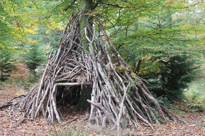 A shelter made of buffalo skins