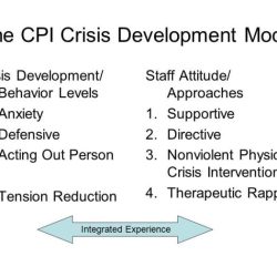 Cpi crisis development model test answers