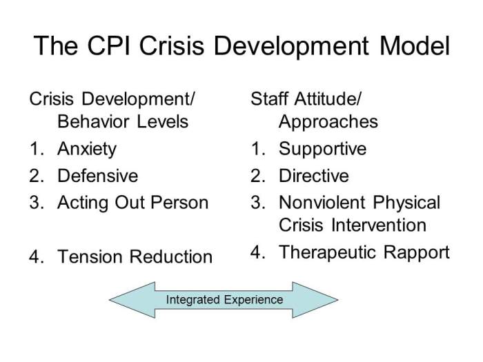 Cpi crisis development model test answers