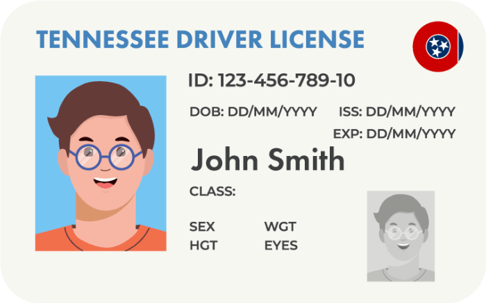 Test tennessee dmv questions choose board drivers license