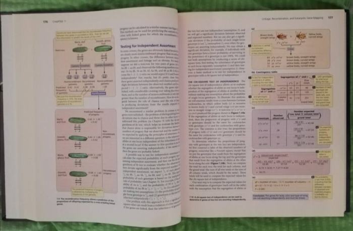 Genetics: a conceptual approach seventh edition